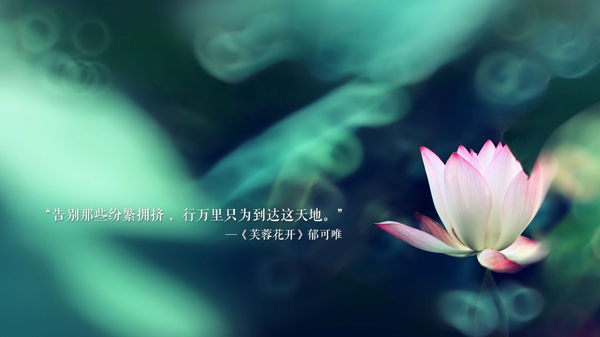 九游娱乐官网 (JIUYOU)-_星空露营运动节：探索自然，放飞心灵_，fun星空露营价格