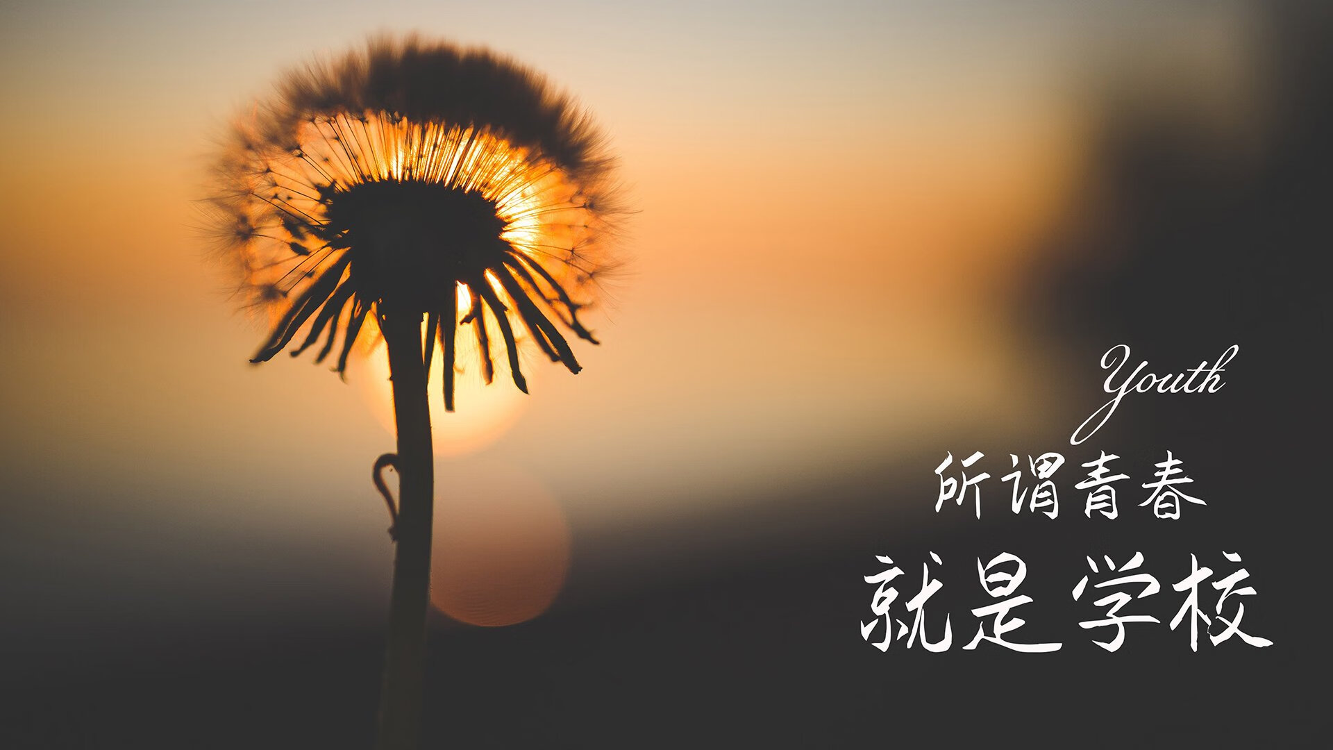 -马刺推出“战术哲学公开课”，波波维奇主讲，nba马刺教练波波维奇