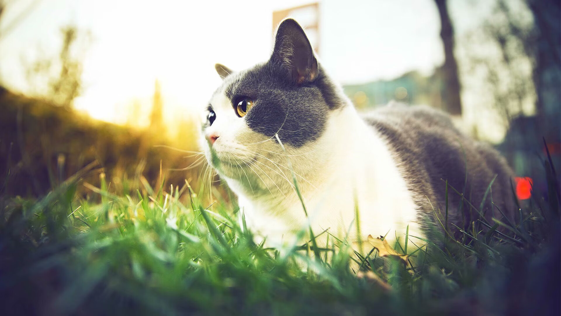 俱乐部缺乏复合型足球管理人才,俱乐部缺乏复合型足球管理人才的例子