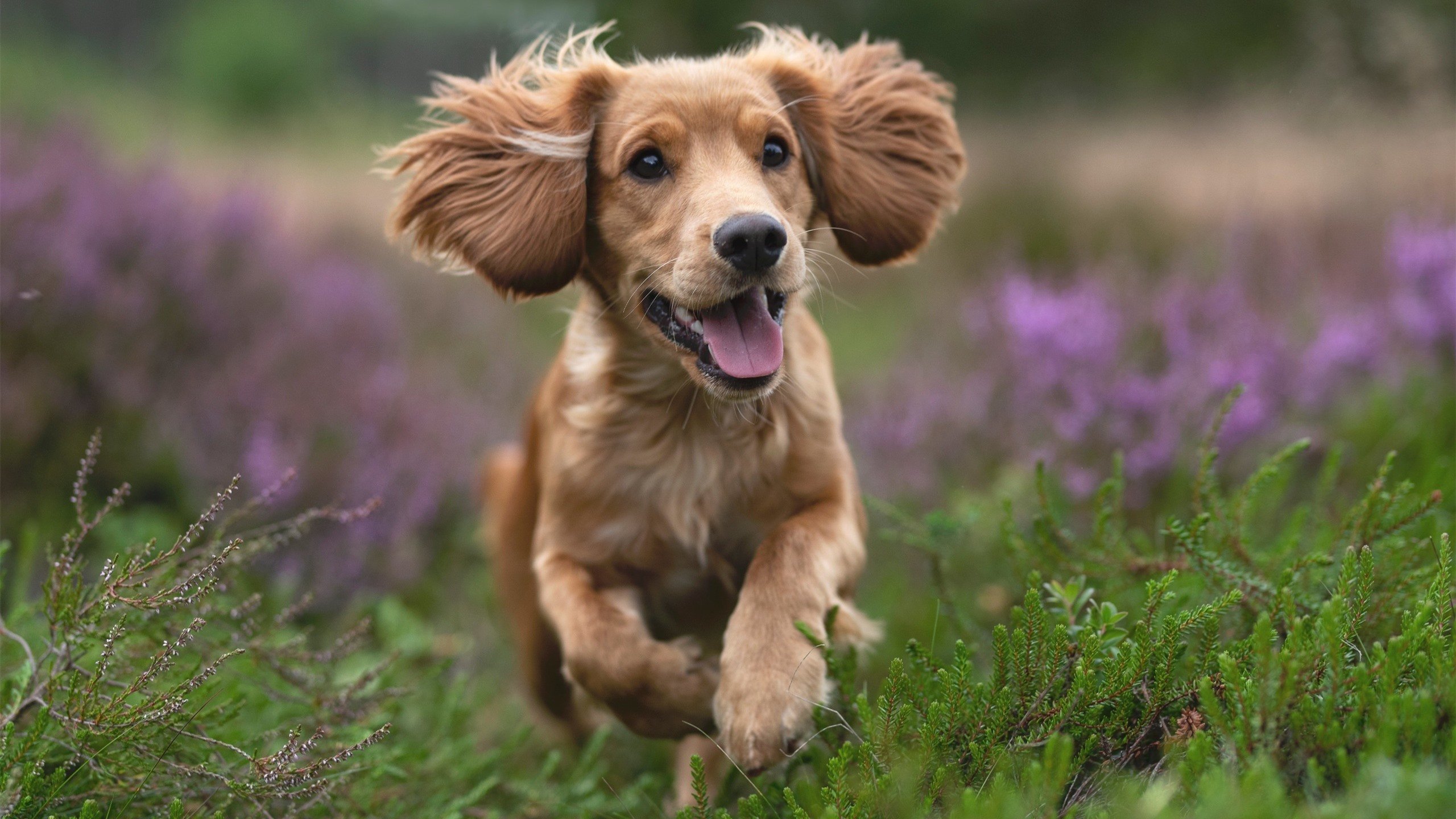 -体能储备合理，后半程体速回落小，体能储备期