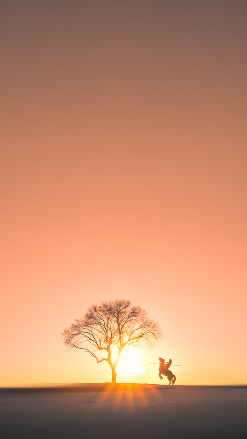 埃及乒乓队未来：持续提升技术，冲击国际大赛，埃及乒乓球团体