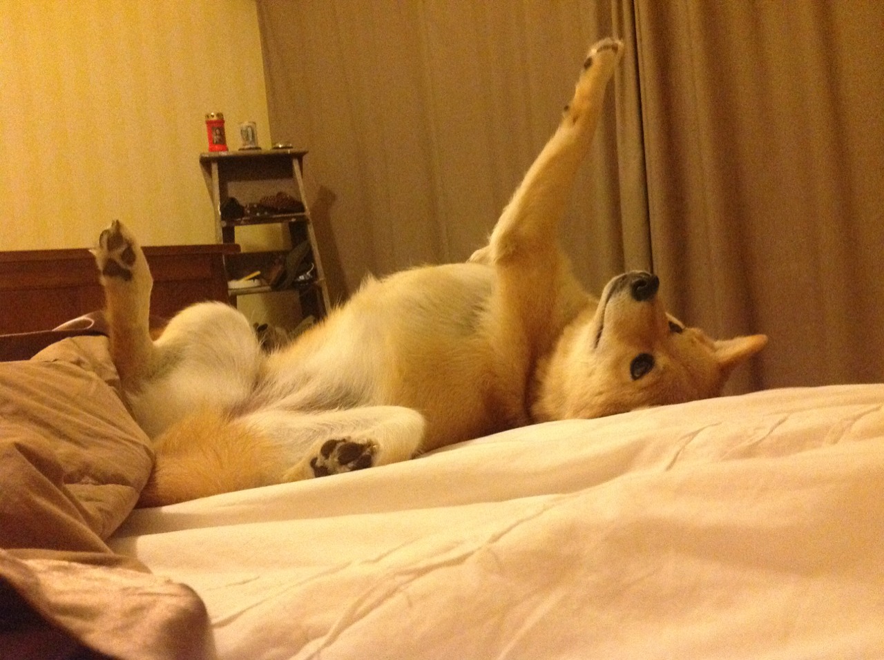 大比分逆转第四节关键战术深度剖析,大比分落败