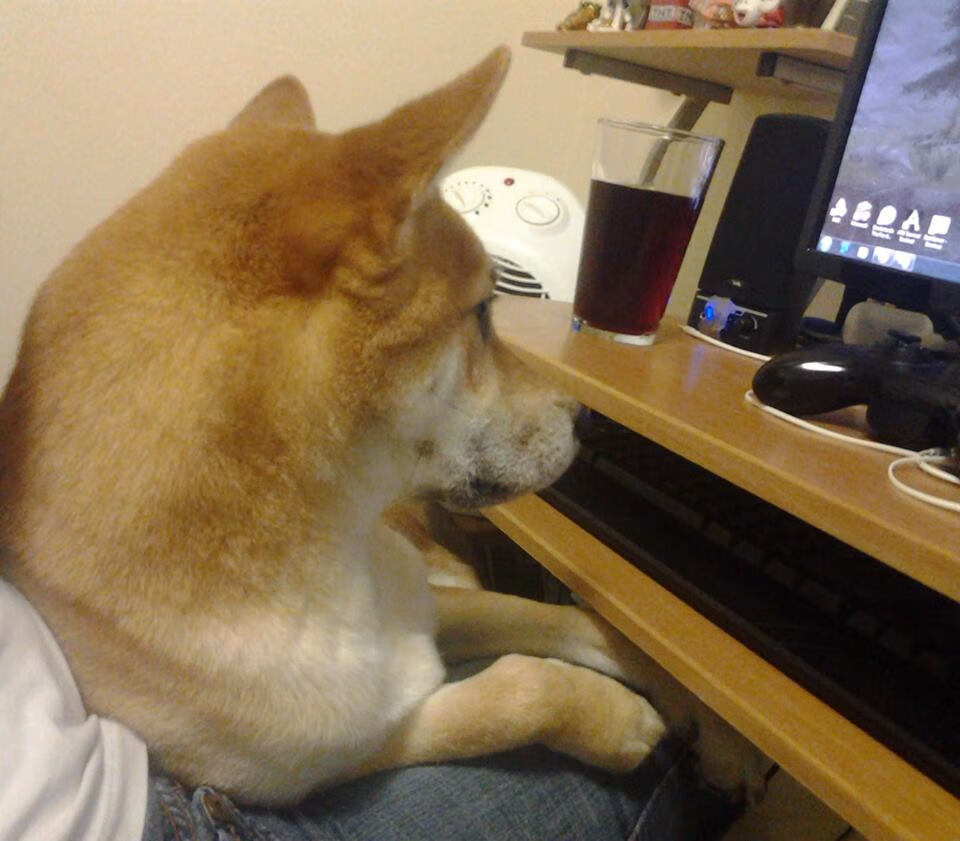 外教带队风格是否与中国足球不匹配,外教足球培训班正在招生!