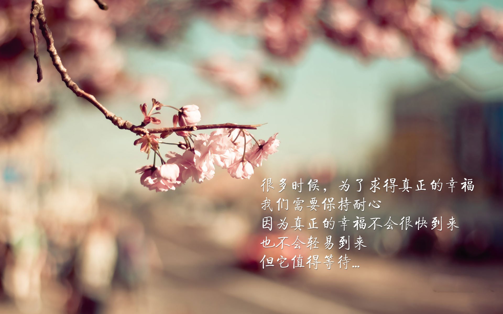 足球训练引入区域联防数据模型,足球区域防守战术