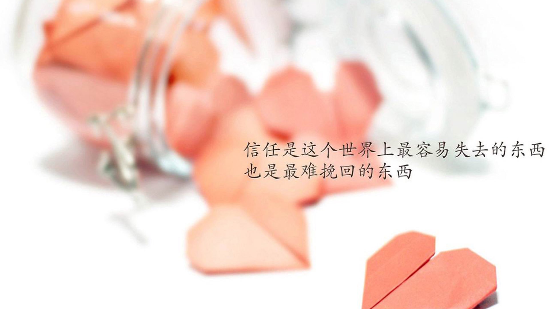 国家队组织体能专项比拼强化比赛持续作战能力,国家队 体能