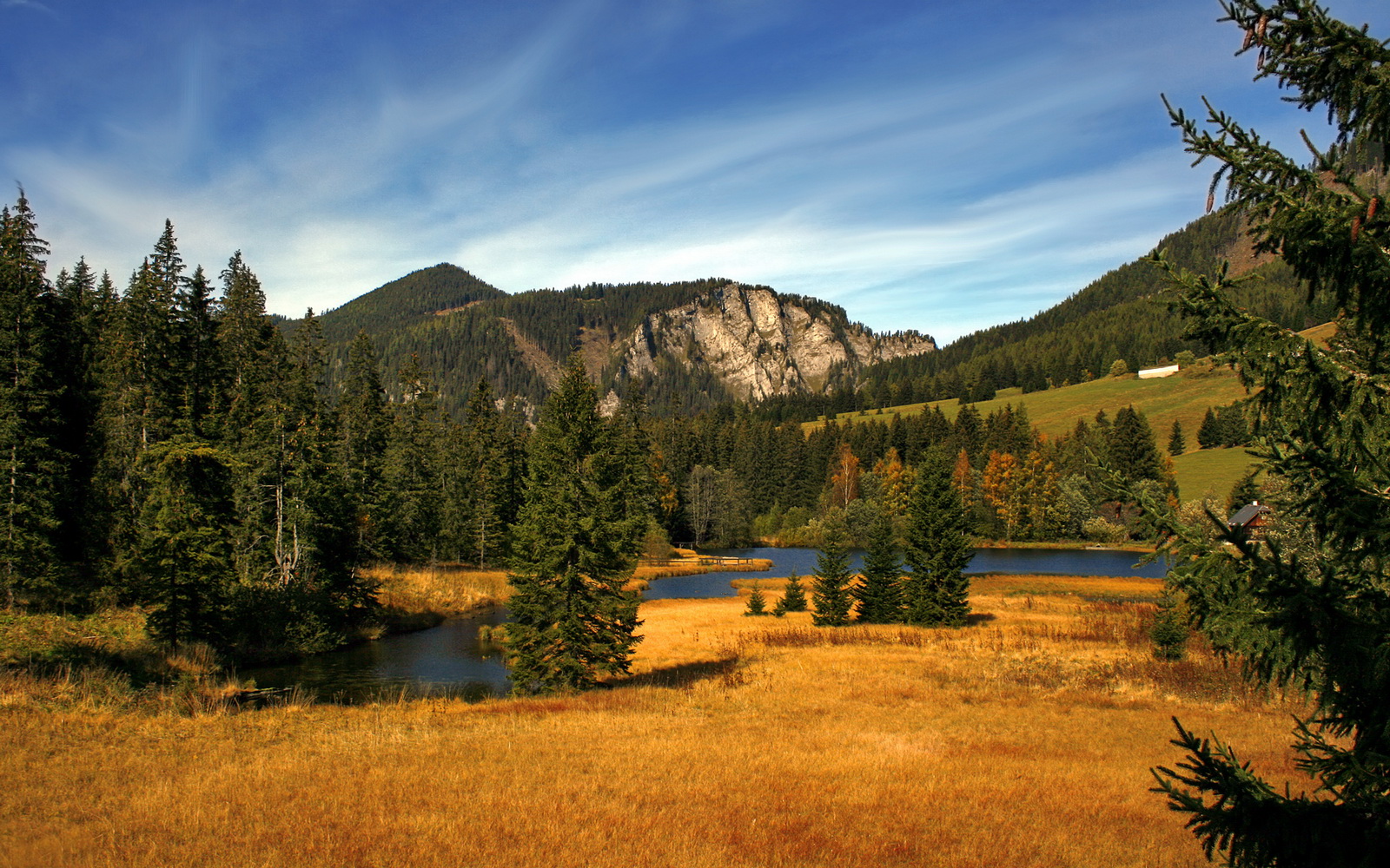 意甲奇兵闪耀：关键时刻的英雄表现，意甲阵营