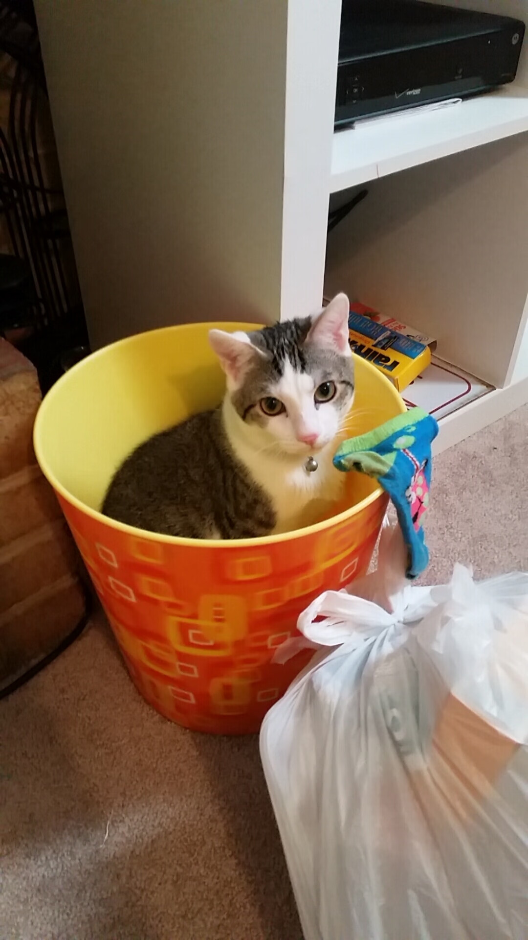 智能裁判辅助系统逐步应用于国际比赛，裁判助手app