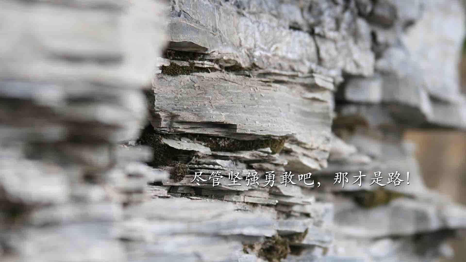 智能裁判辅助系统逐步应用于国际比赛，裁判助手app