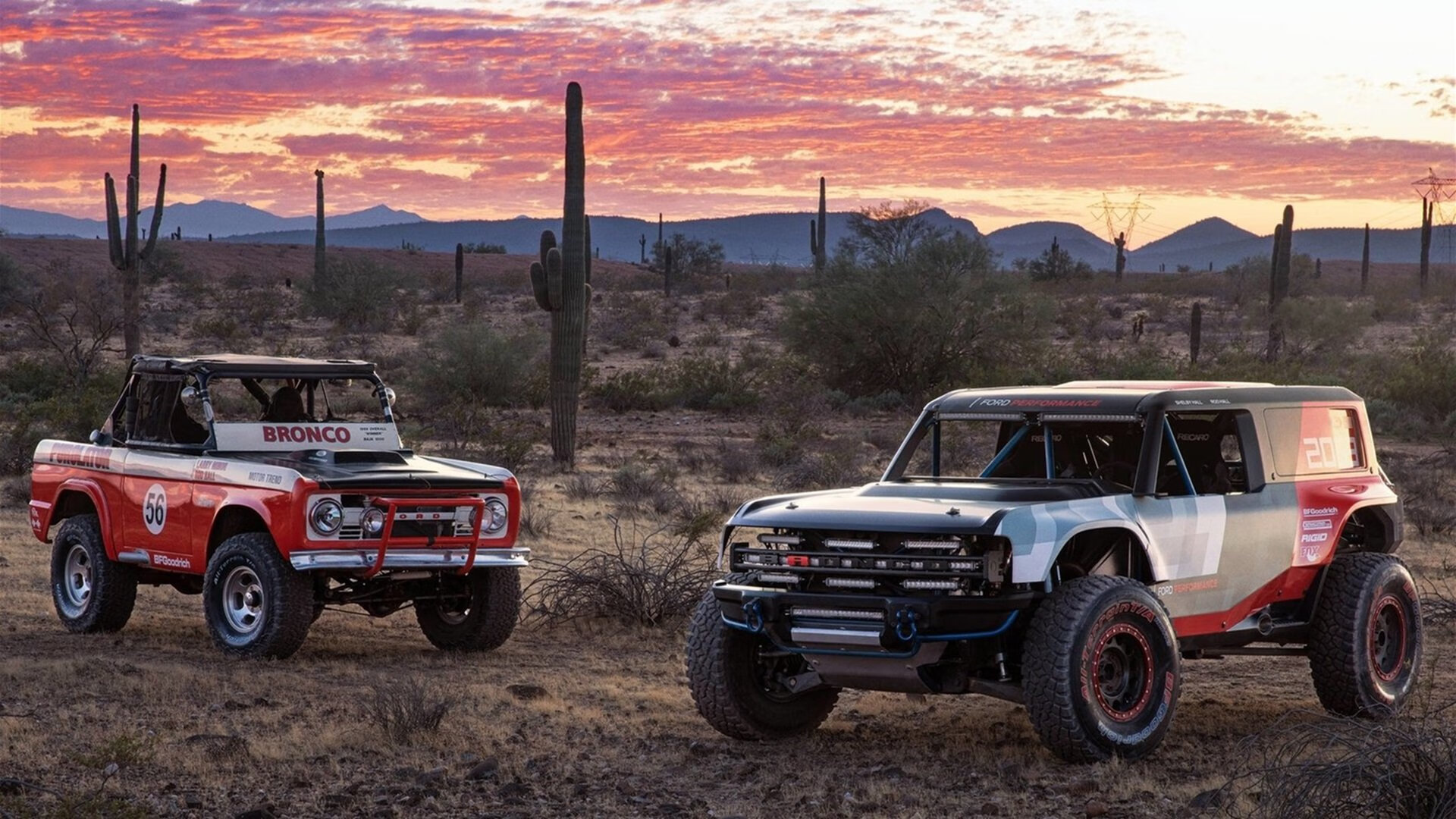 九游官网下载电脑版-苏炳添将参与研发新型短跑训练系统，苏炳添将成立短跑实验室