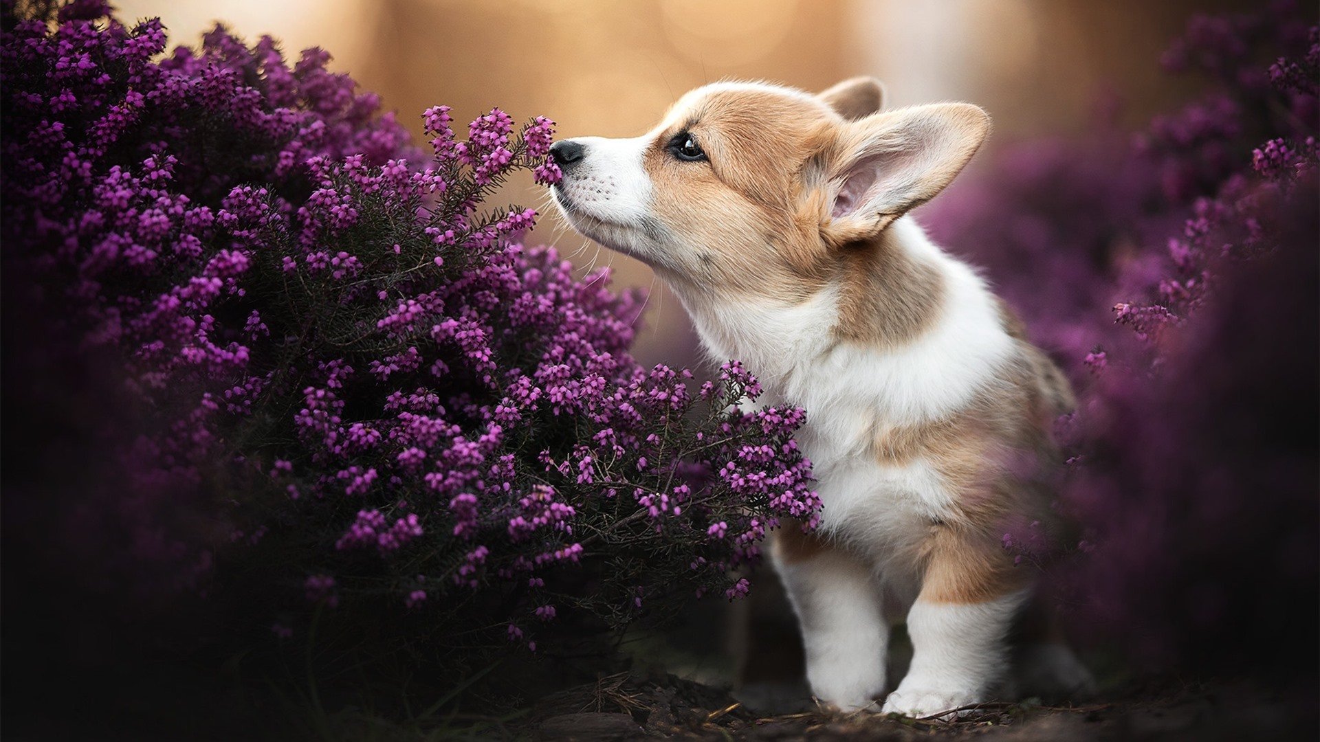 赛后复盘提出中路渗透仍存空档将作为下阶段重点训练方向，足球中路渗透进攻教案