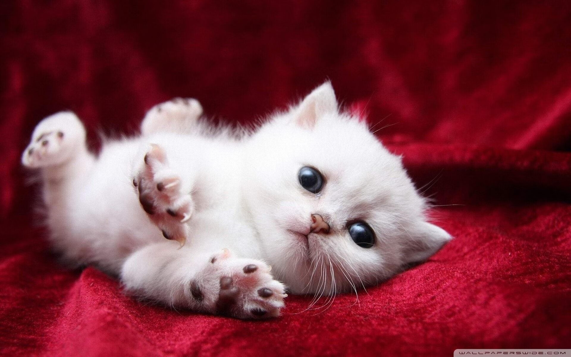 马克西姆·格鲁塞赛后谈训练心得,格鲁马克4