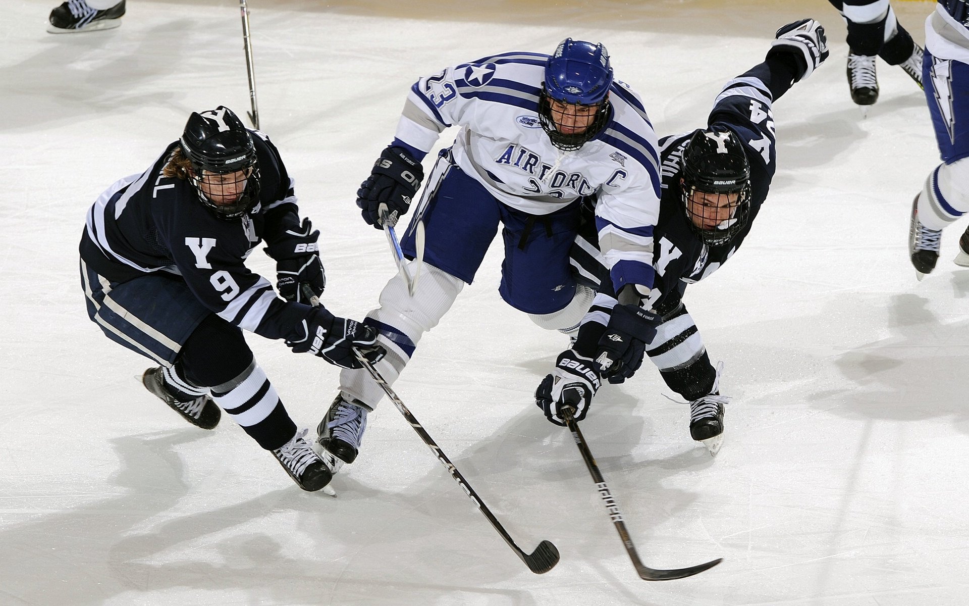 体育新闻中心构建体育赛事版权管理体系，体育比赛版权申请
